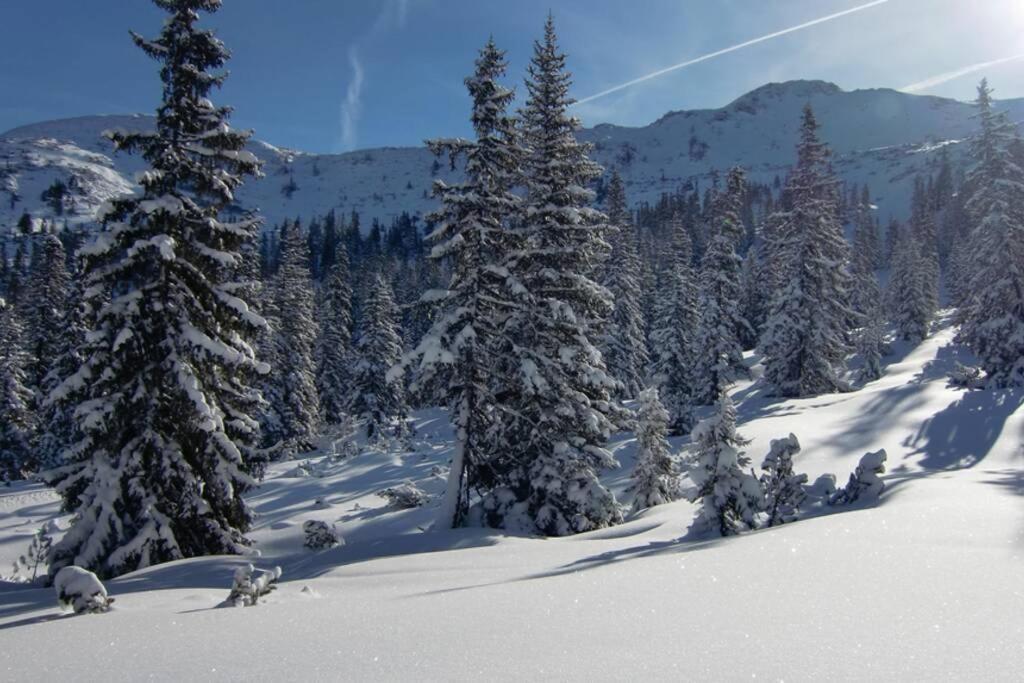 Ferienwohnung Moersbachblick Donnersbachwald Buitenkant foto