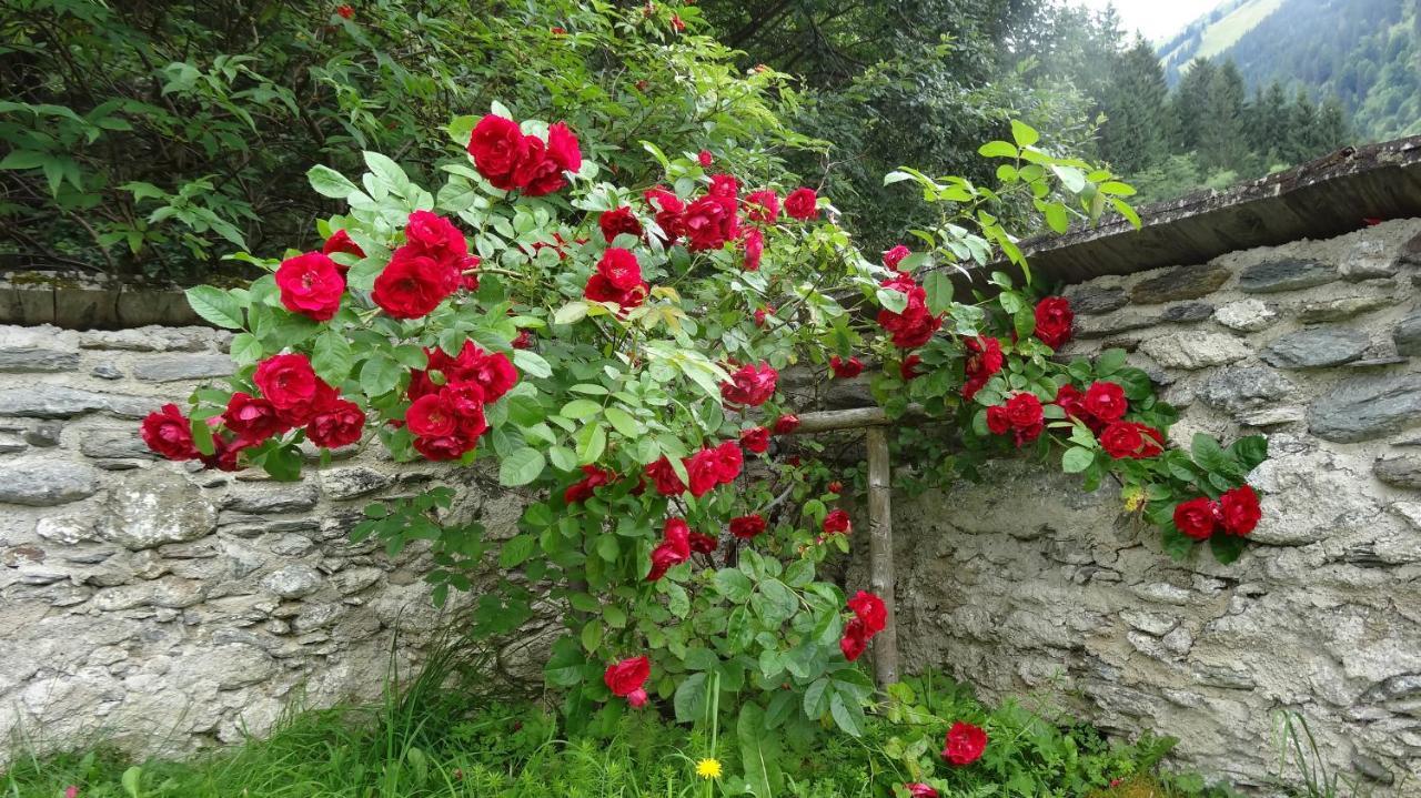 Ferienwohnung Moersbachblick Donnersbachwald Buitenkant foto